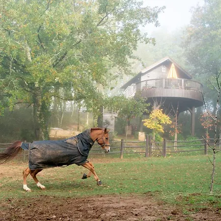 De La Mesange * Auriac-du-Périgord