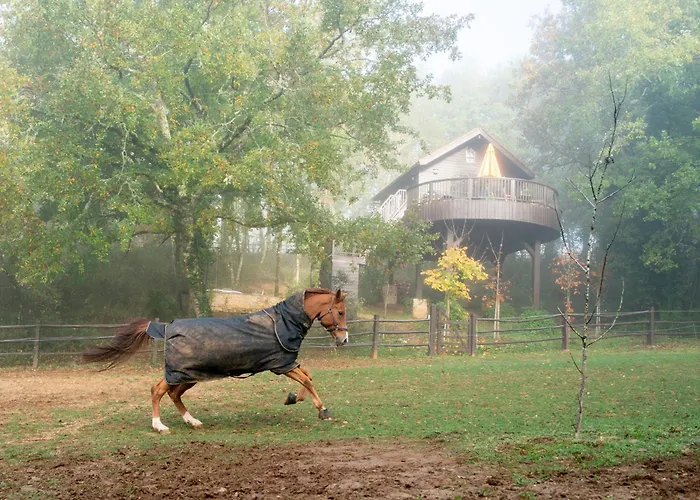 De La Mesange * Auriac-du-Périgord